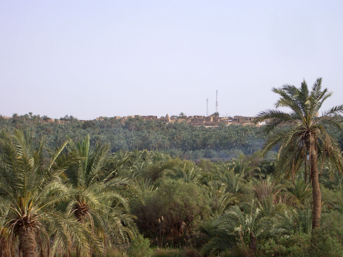 Bahareya Oasis